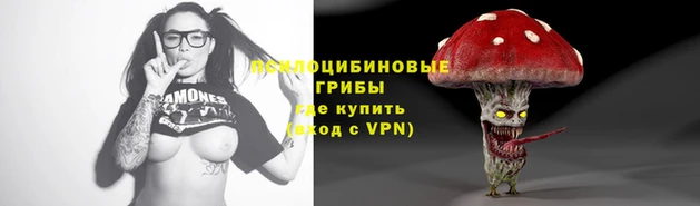 бошки Баксан