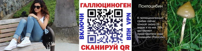 Галлюциногенные грибы Psilocybine cubensis  Сольвычегодск 